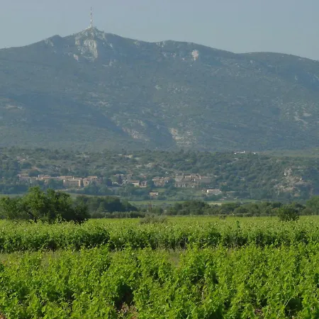 Дом отдыха Les Oliviers Le Bosc (Herault)